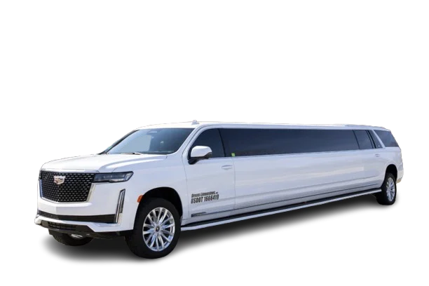 Mini Bus